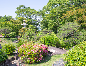 top_business_image02