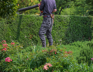 top_business_image03