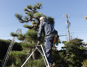 top_business_image05