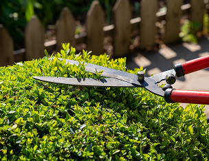 top_business_image07